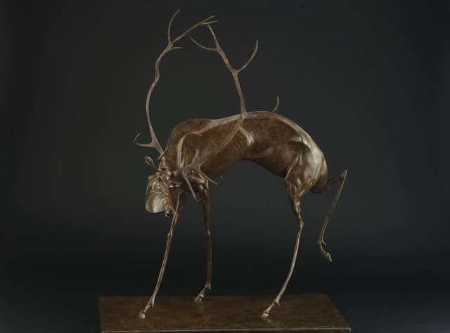 Deer