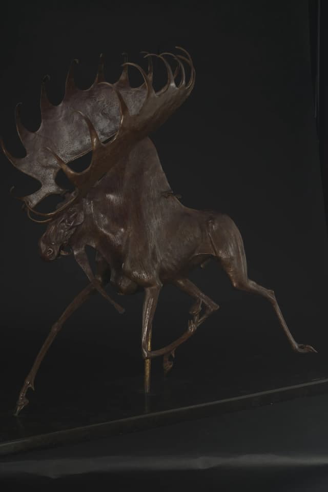 Moose